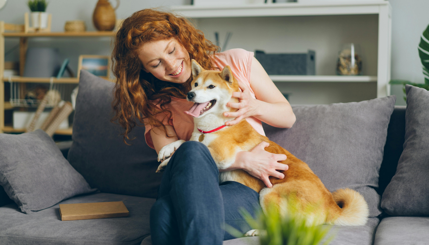 HomePage 18 5 Items Pet Owners Need to Wash More During Winter